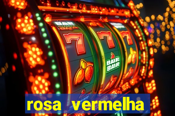 rosa vermelha (letra e cifra)